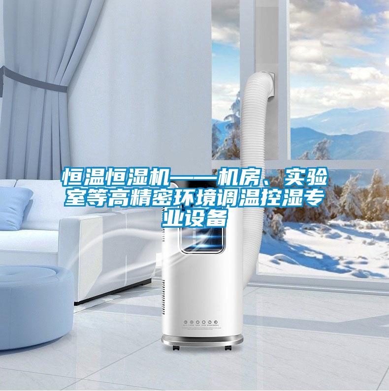 恒溫恒濕機——機房、實驗室等高精密環(huán)境調(diào)溫控濕專業(yè)設(shè)備