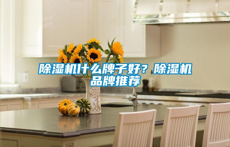 除濕機什么牌子好？除濕機品牌推薦