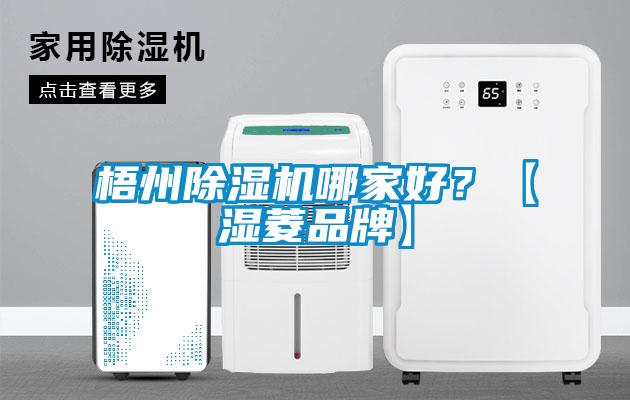 梧州除濕機(jī)哪家好？【濕菱品牌】