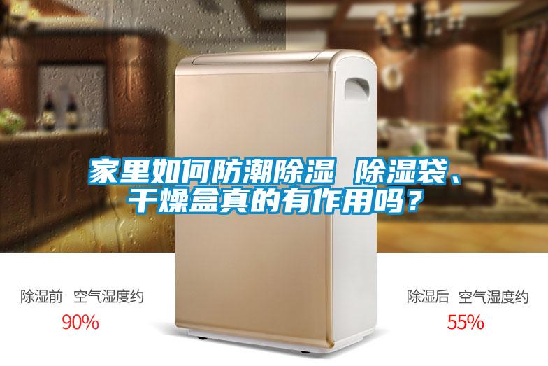 家里如何防潮除濕 除濕袋、干燥盒真的有作用嗎？