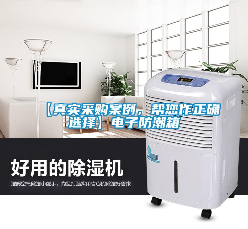 【真實(shí)采購案例，幫您作正確選擇】電子防潮箱