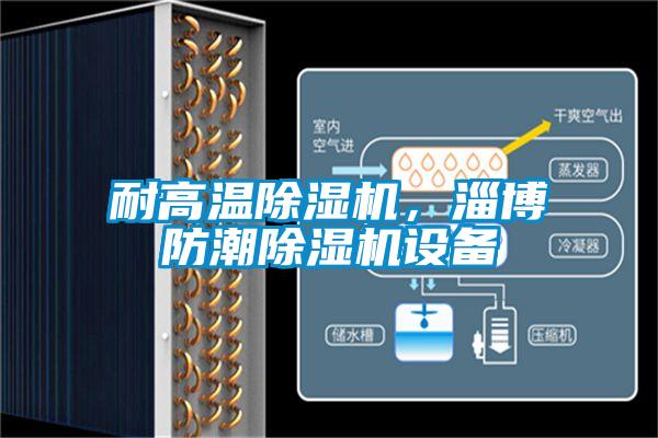 耐高溫除濕機，淄博防潮除濕機設(shè)備