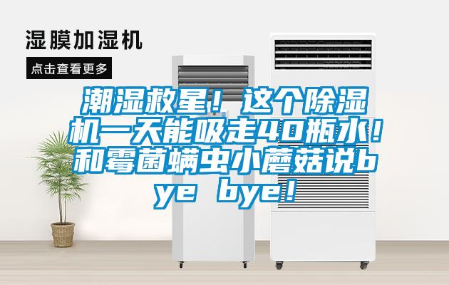 潮濕救星！這個除濕機(jī)一天能吸走40瓶水！和霉菌螨蟲小蘑菇說bye bye！
