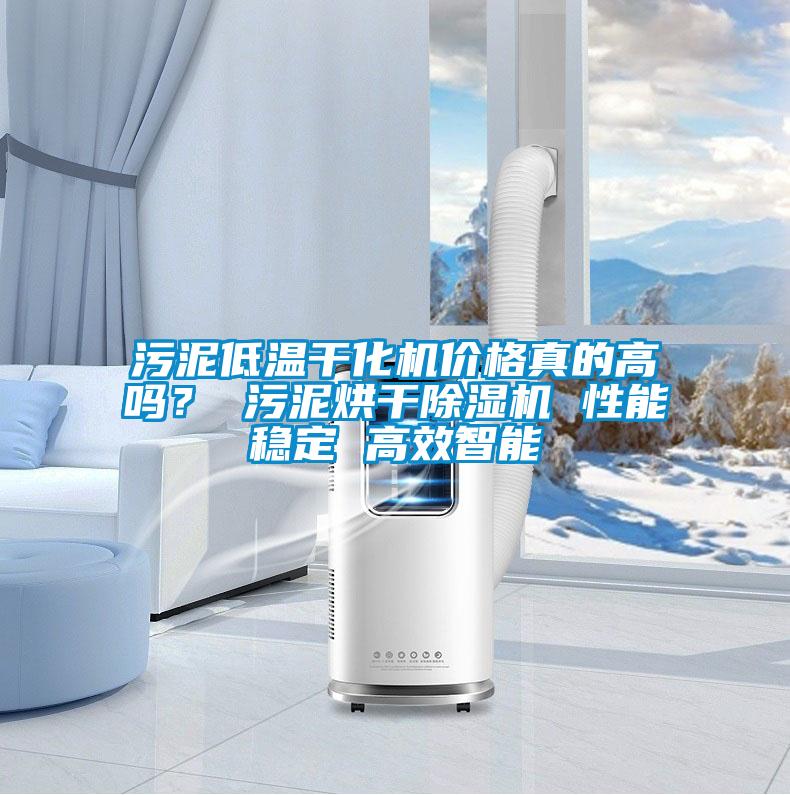 污泥低溫干化機價格真的高嗎？ 污泥烘干除濕機 性能穩(wěn)定 高效智能