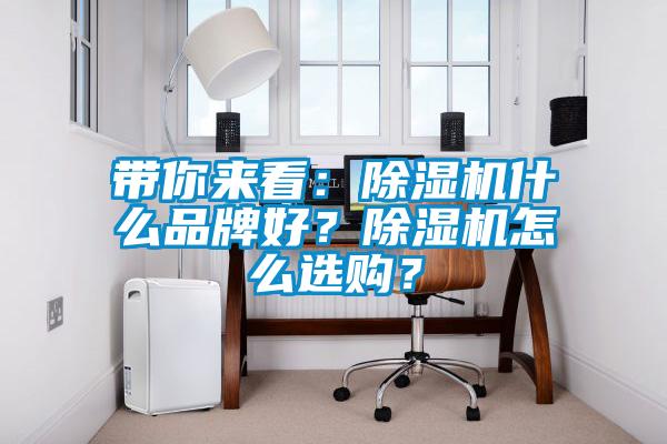 帶你來看：除濕機(jī)什么品牌好？除濕機(jī)怎么選購？