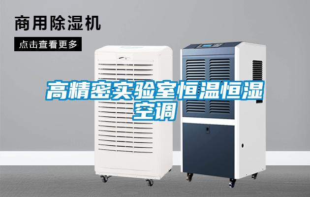 高精密實(shí)驗(yàn)室恒溫恒濕空調(diào)