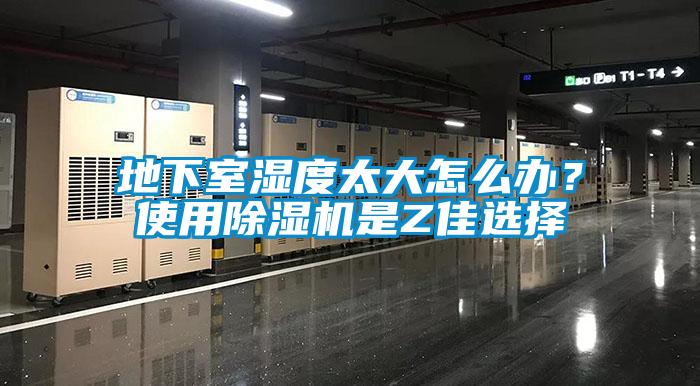 地下室濕度太大怎么辦？使用除濕機是Z佳選擇