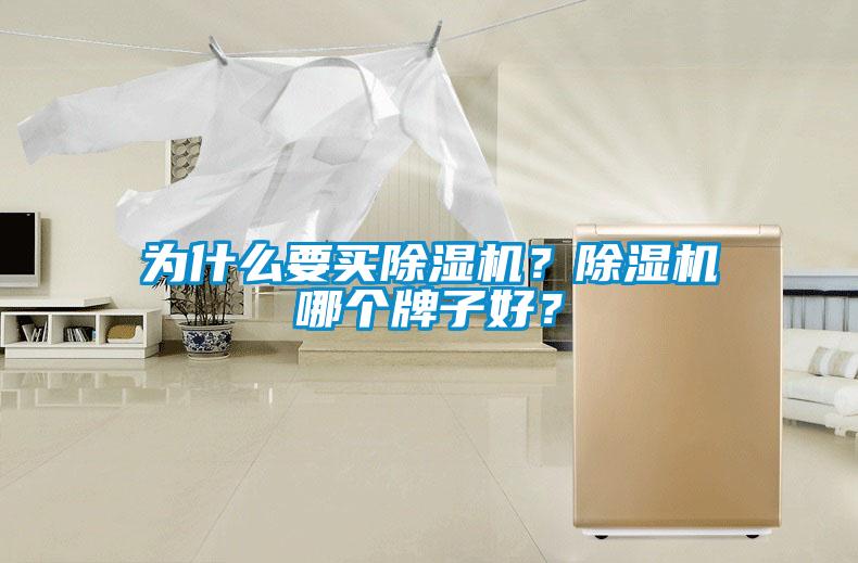 為什么要買除濕機？除濕機哪個牌子好？