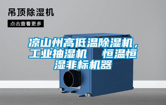 涼山州高低溫除濕機(jī)，工業(yè)抽濕機(jī)  恒溫恒濕非標(biāo)機(jī)器