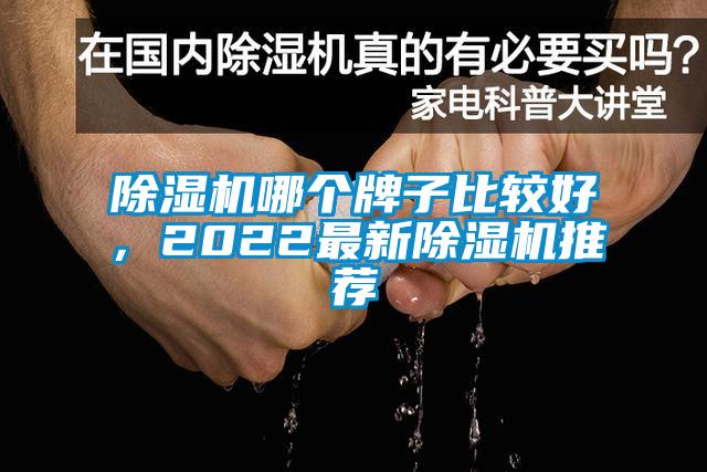 除濕機哪個牌子比較好，2022最新除濕機推薦
