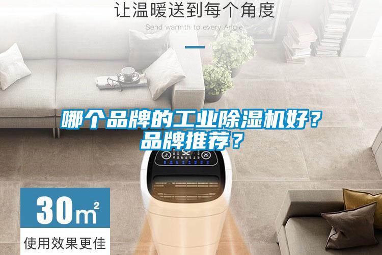 哪個品牌的工業(yè)除濕機好？品牌推薦？