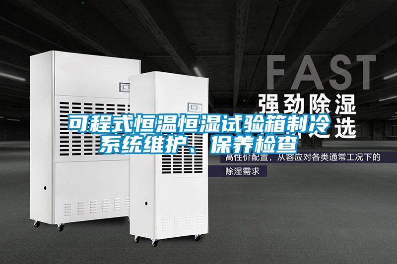 可程式恒溫恒濕試驗(yàn)箱制冷系統(tǒng)維護(hù)、保養(yǎng)檢查