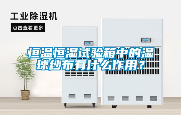 恒溫恒濕試驗箱中的濕球紗布有什么作用？