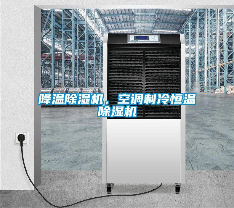 降溫除濕機，空調(diào)制冷恒溫除濕機