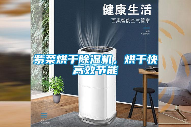 紫菜烘干除濕機，烘干快高效節(jié)能