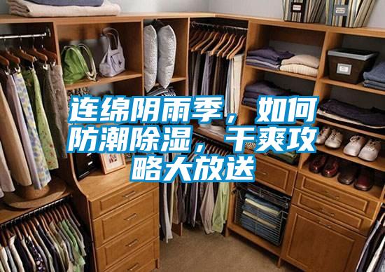 連綿陰雨季，如何防潮除濕，干爽攻略大放送