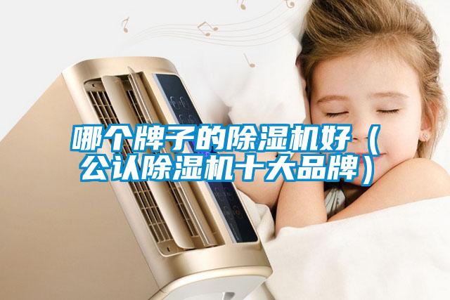 哪個牌子的除濕機(jī)好（公認(rèn)除濕機(jī)十大品牌）