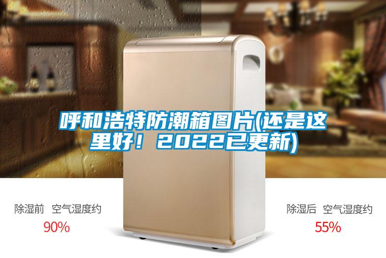 呼和浩特防潮箱圖片(還是這里好！2022已更新)