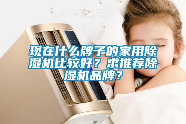 現(xiàn)在什么牌子的家用除濕機比較好？求推薦除濕機品牌？