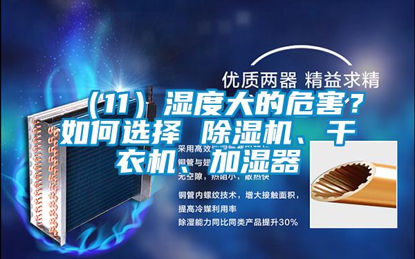 （11）濕度大的危害？如何選擇 除濕機(jī)、干衣機(jī)、加濕器