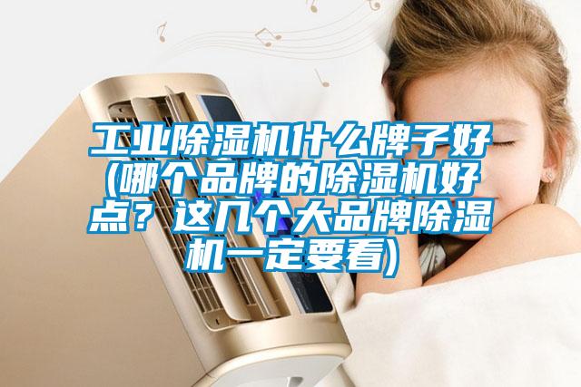 工業(yè)除濕機(jī)什么牌子好(哪個(gè)品牌的除濕機(jī)好點(diǎn)？這幾個(gè)大品牌除濕機(jī)一定要看)