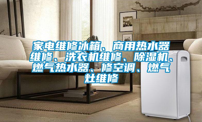 家電維修冰箱、商用熱水器維修、洗衣機維修、除濕機、燃氣熱水器、修空調、燃氣灶維修