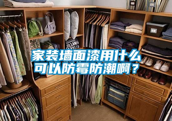 家裝墻面漆用什么可以防霉防潮?。?/></p>
						    <p style=