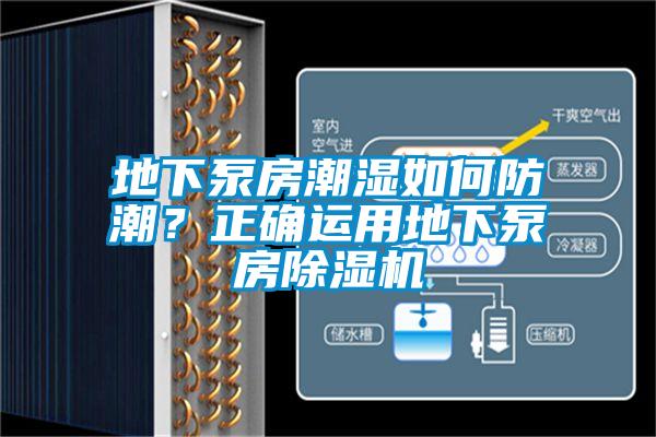 地下泵房潮濕如何防潮？正確運(yùn)用地下泵房除濕機(jī)
