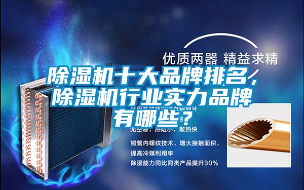 除濕機十大品牌排名，除濕機行業(yè)實力品牌有哪些？