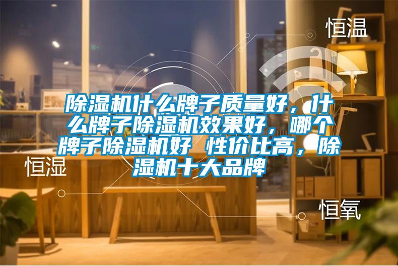 除濕機(jī)什么牌子質(zhì)量好，什么牌子除濕機(jī)效果好，哪個(gè)牌子除濕機(jī)好 性價(jià)比高，除濕機(jī)十大品牌
