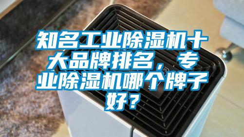 知名工業(yè)除濕機十大品牌排名，專業(yè)除濕機哪個牌子好？