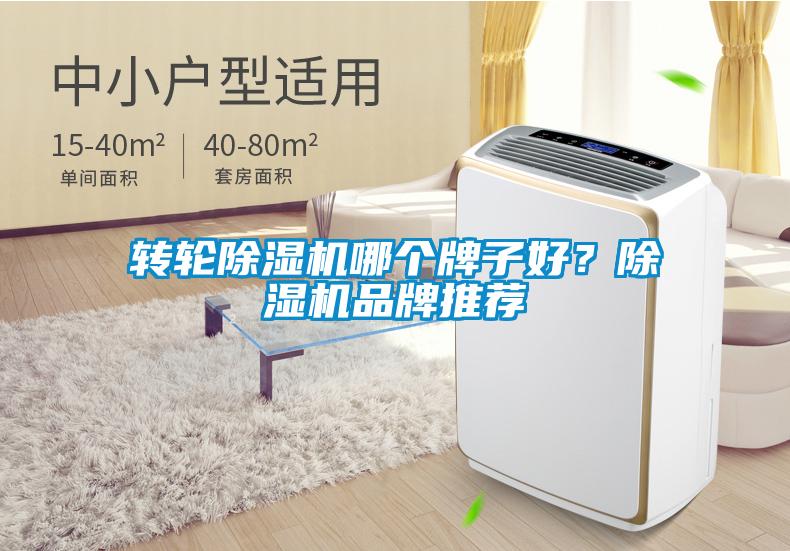 轉(zhuǎn)輪除濕機(jī)哪個(gè)牌子好？除濕機(jī)品牌推薦