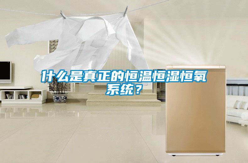 什么是真正的恒溫恒濕恒氧系統(tǒng)？