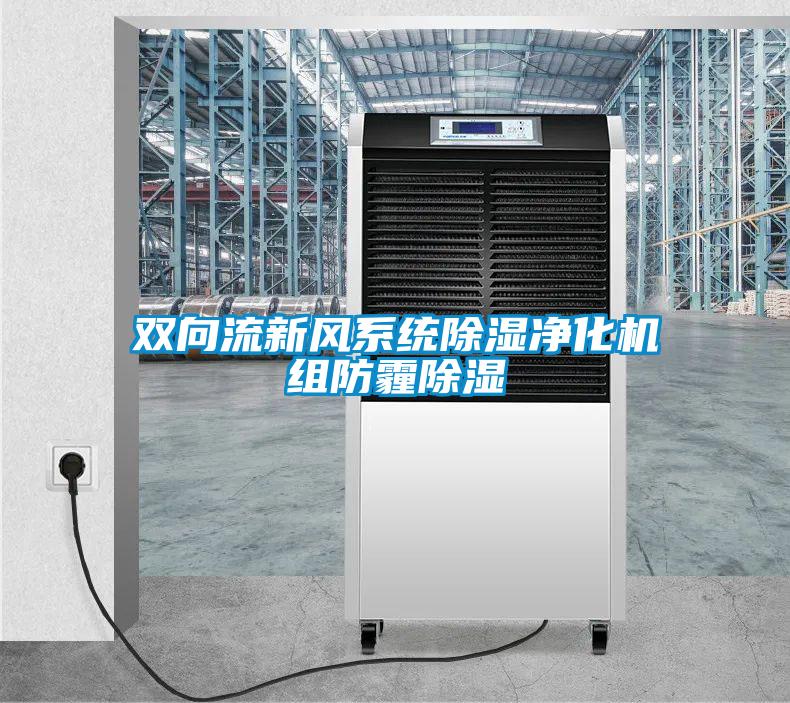 雙向流新風系統(tǒng)除濕凈化機組防霾除濕