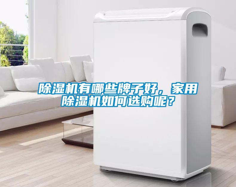 除濕機(jī)有哪些牌子好，家用除濕機(jī)如何選購(gòu)呢？
