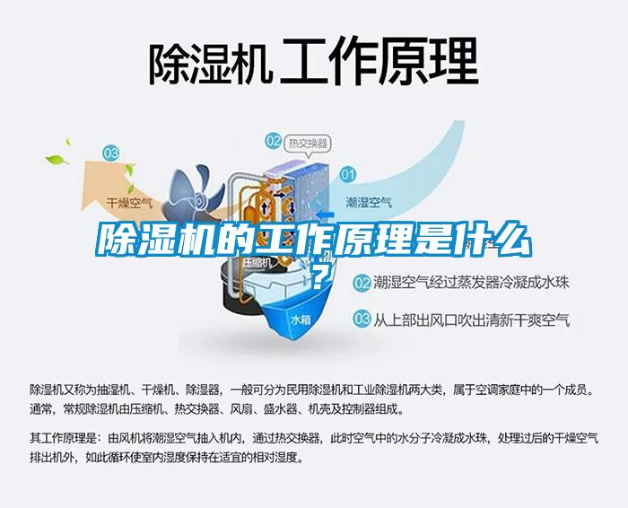 除濕機(jī)的工作原理是什么？