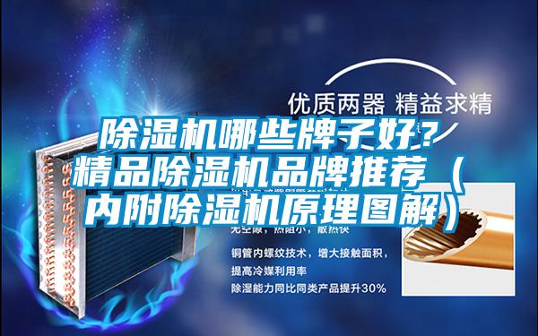 除濕機(jī)哪些牌子好？精品除濕機(jī)品牌推薦（內(nèi)附除濕機(jī)原理圖解）