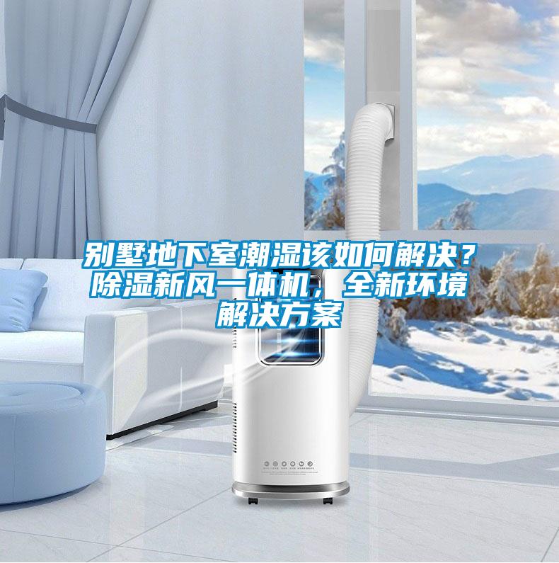 別墅地下室潮濕該如何解決？除濕新風(fēng)一體機(jī)，全新環(huán)境解決方案