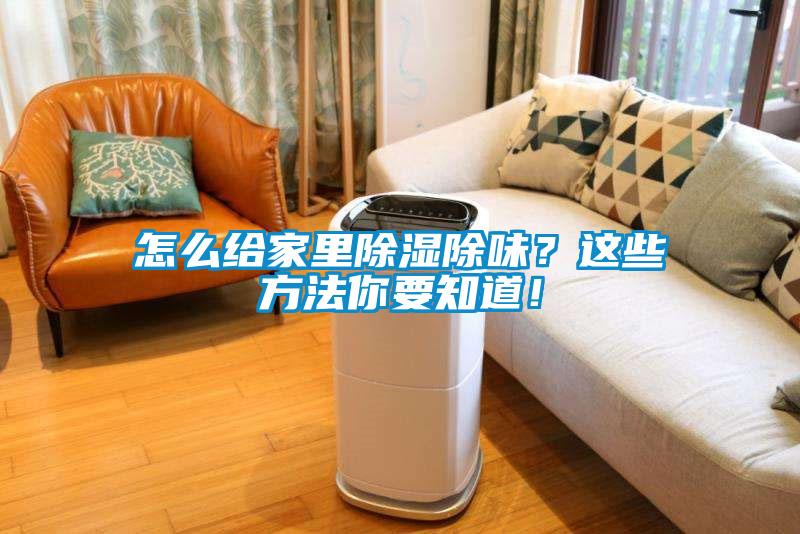 怎么給家里除濕除味？這些方法你要知道！