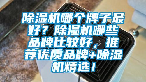除濕機哪個牌子最好？除濕機哪些品牌比較好，推薦優(yōu)質品牌+除濕機精選！