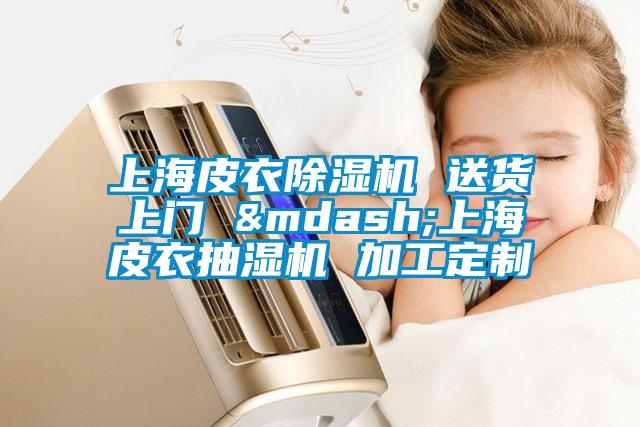 上海皮衣除濕機(jī) 送貨上門 &mdash;上海皮衣抽濕機(jī) 加工定制