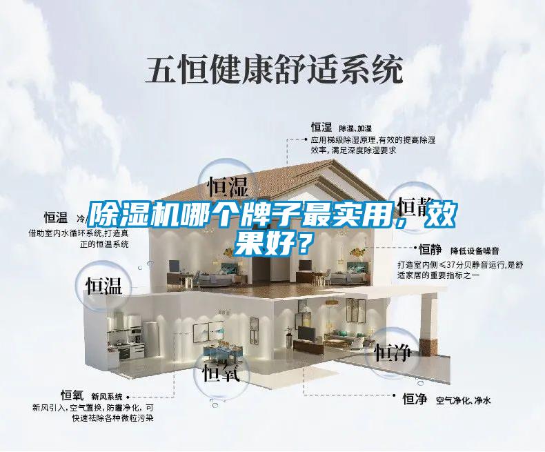 除濕機哪個牌子最實用，效果好？