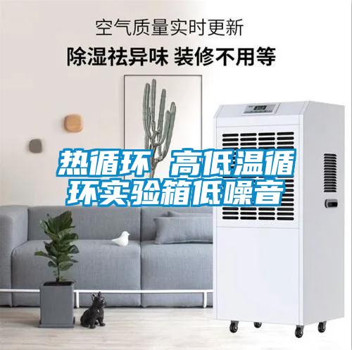 熱循環(huán) 高低溫循環(huán)實驗箱低噪音