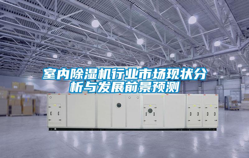 室內除濕機行業(yè)市場現(xiàn)狀分析與發(fā)展前景預測