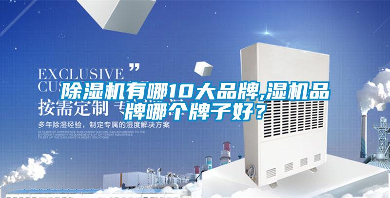 除濕機(jī)有哪10大品牌,濕機(jī)品牌哪個(gè)牌子好？