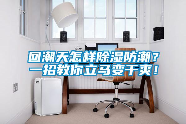 回潮天怎樣除濕防潮？一招教你立馬變干爽！