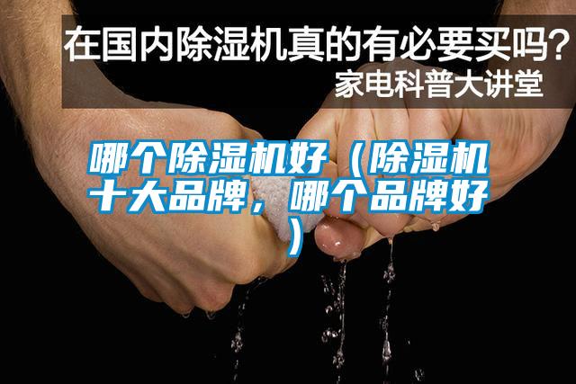 哪個除濕機好（除濕機十大品牌，哪個品牌好）