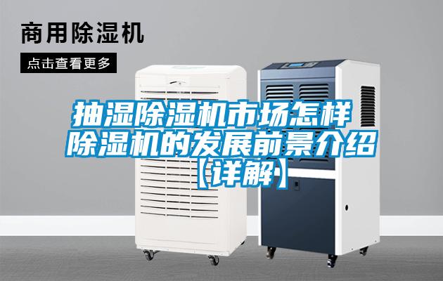 抽濕除濕機(jī)市場怎樣 除濕機(jī)的發(fā)展前景介紹【詳解】