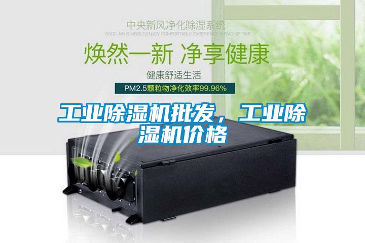 工業(yè)除濕機(jī)批發(fā)，工業(yè)除濕機(jī)價格
