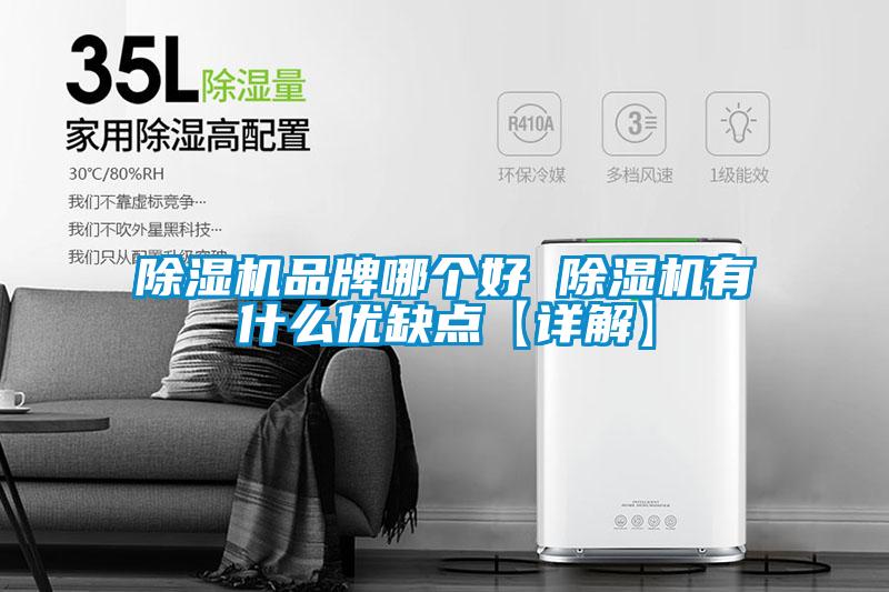 除濕機(jī)品牌哪個好 除濕機(jī)有什么優(yōu)缺點(diǎn)【詳解】